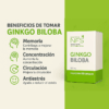 Ginko Biloba 500mg - 90caps