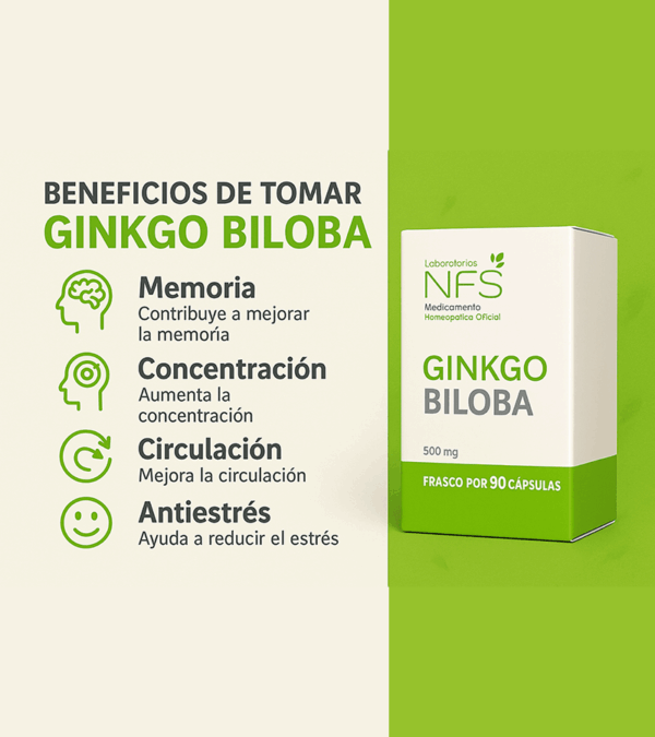Ginko Biloba 500mg - 90caps